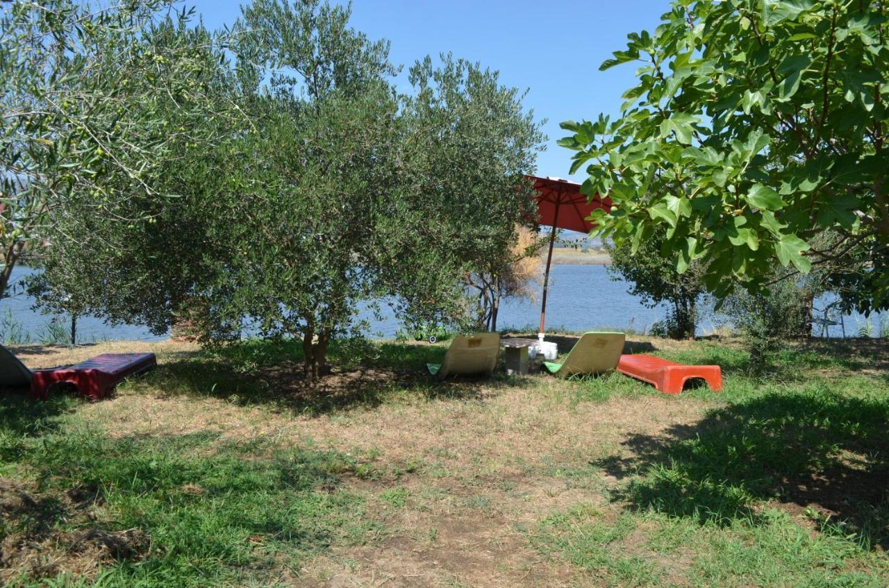 Riverside Apartments Chiara Ulcinj Eksteriør billede