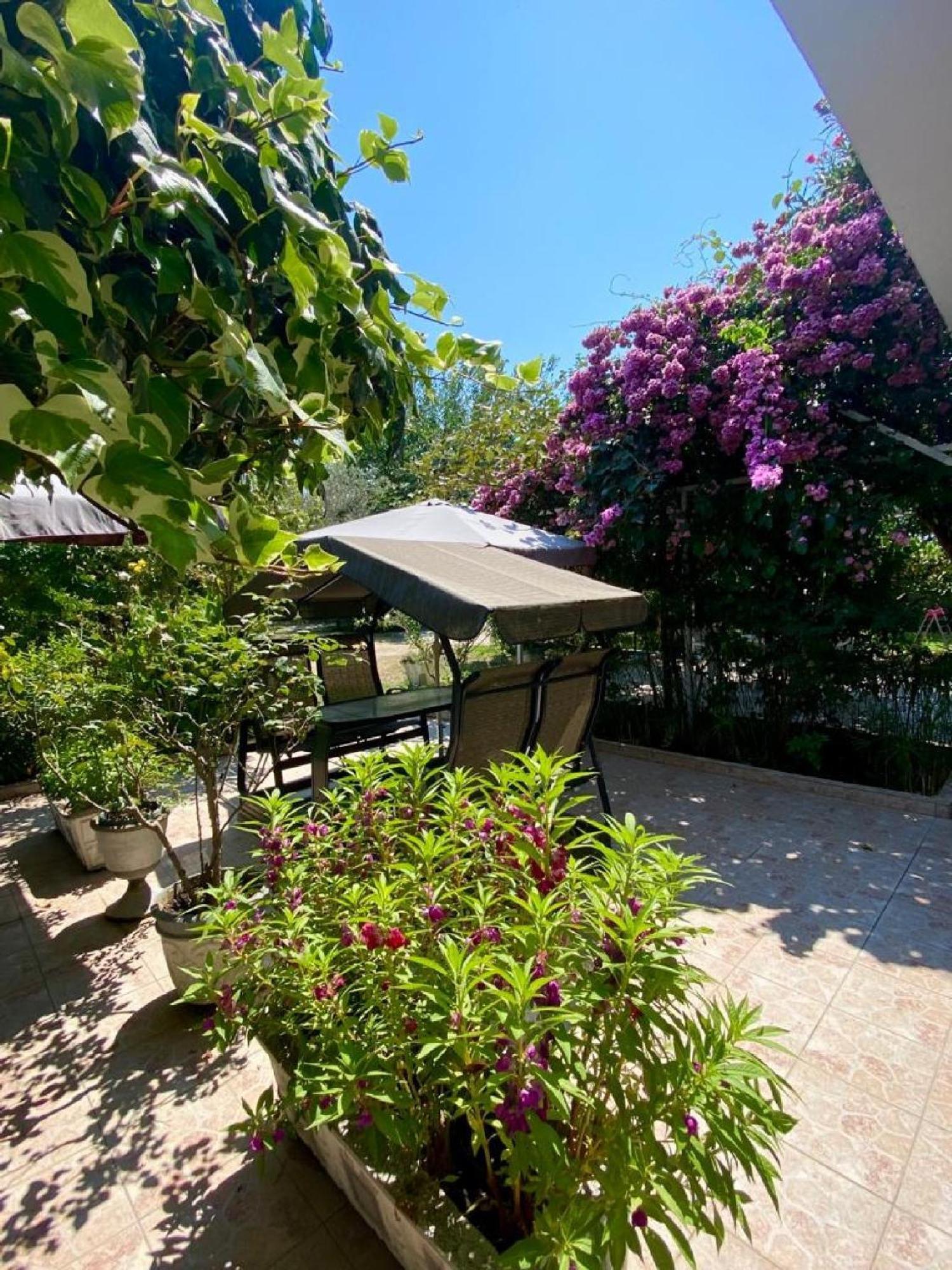 Riverside Apartments Chiara Ulcinj Værelse billede