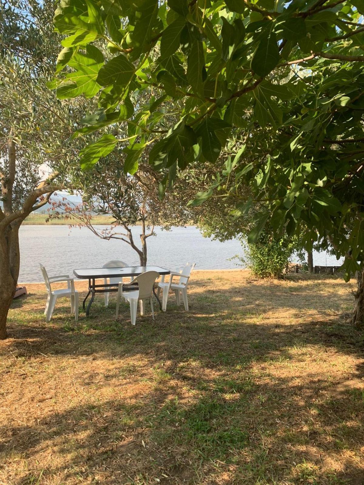 Riverside Apartments Chiara Ulcinj Eksteriør billede
